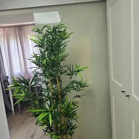 Bianka's Oasis In - Sleeps 7, Modern Comfort Вир